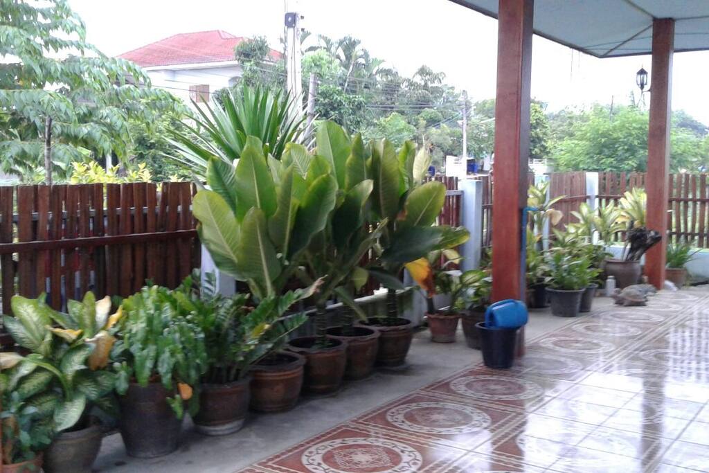 บรรยากาศร่มรื่นด้านหน้ามุมจิบกาแฟ