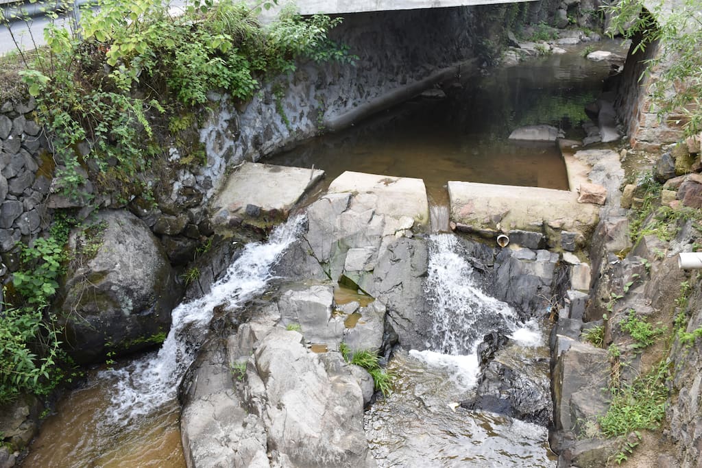 小溪,天然山泉