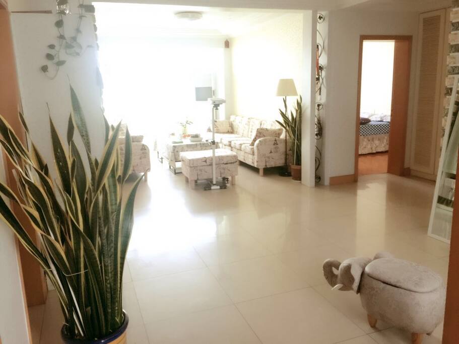 living room have enough space