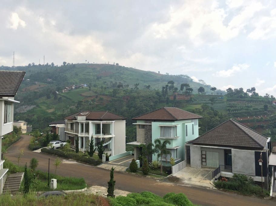 Hills View