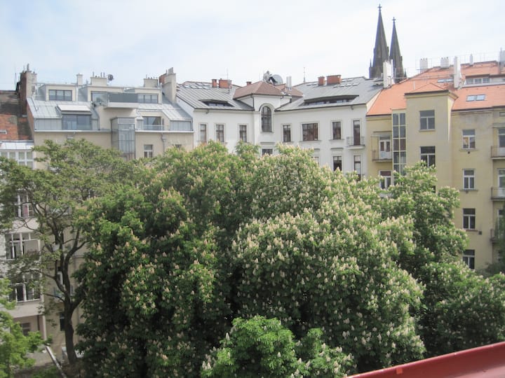 PRIVATE COSY ROOM - IN PRAGUE CENTRE!
