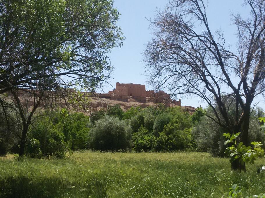 Valle des roses