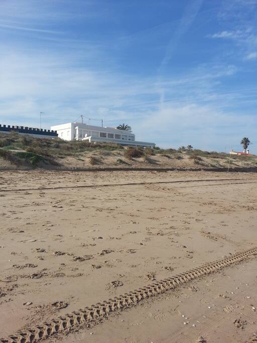Edificio Albero desde la playa