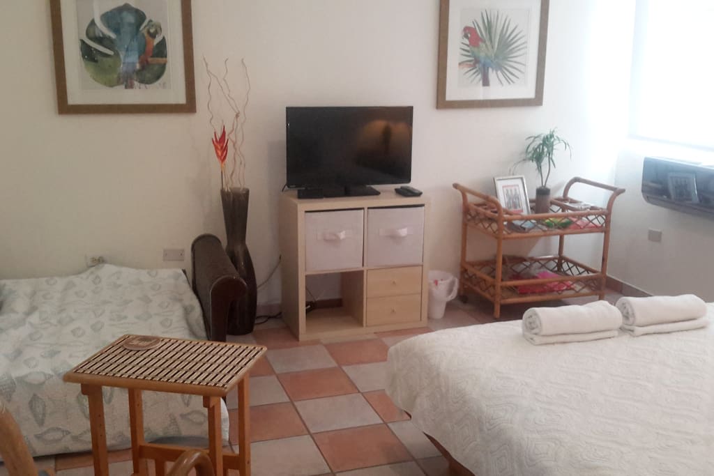 32 inch tv, ac, queen size bed