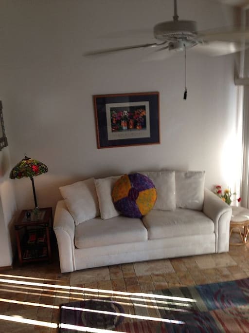 15' vaulted ceilings
Living Room and Kitchen area 500 sq ft.
Queen Sofa Sleeper