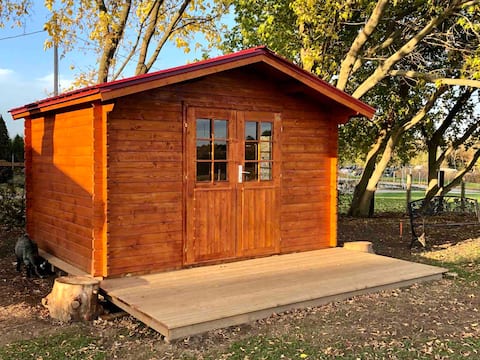 Bunkie on the Farm