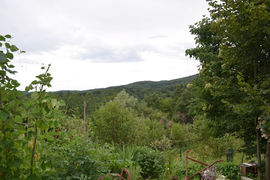 wonderful views
