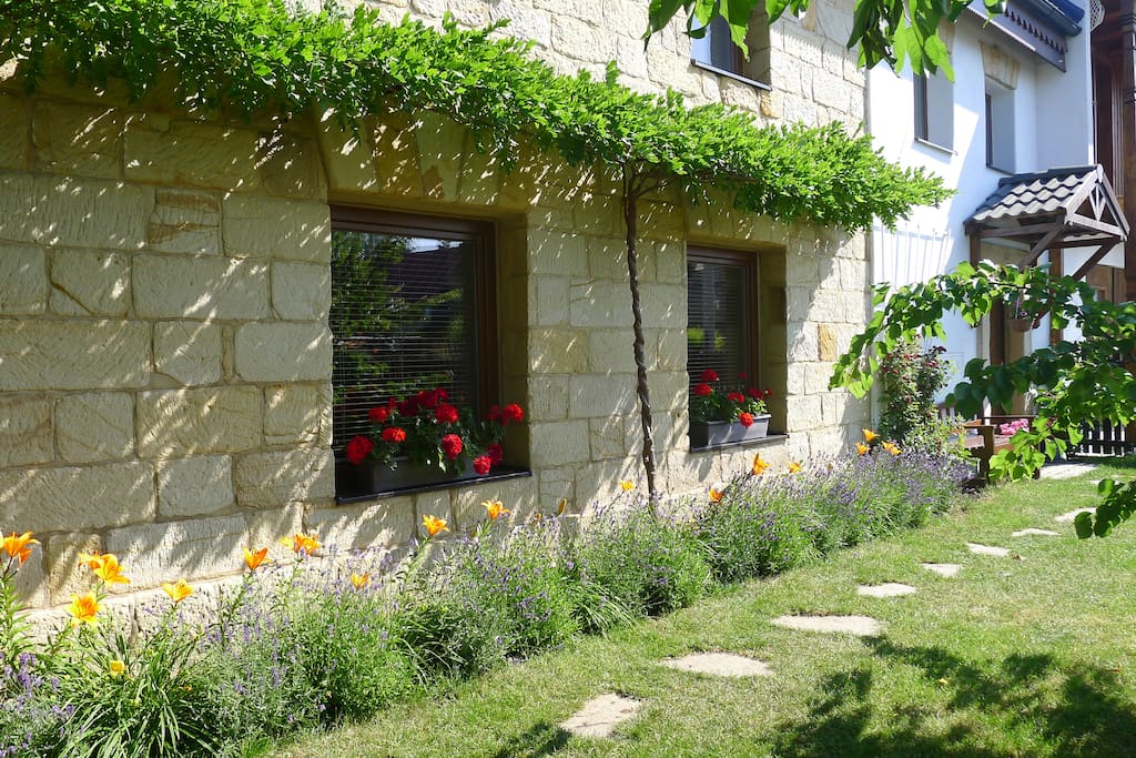 in front of the house