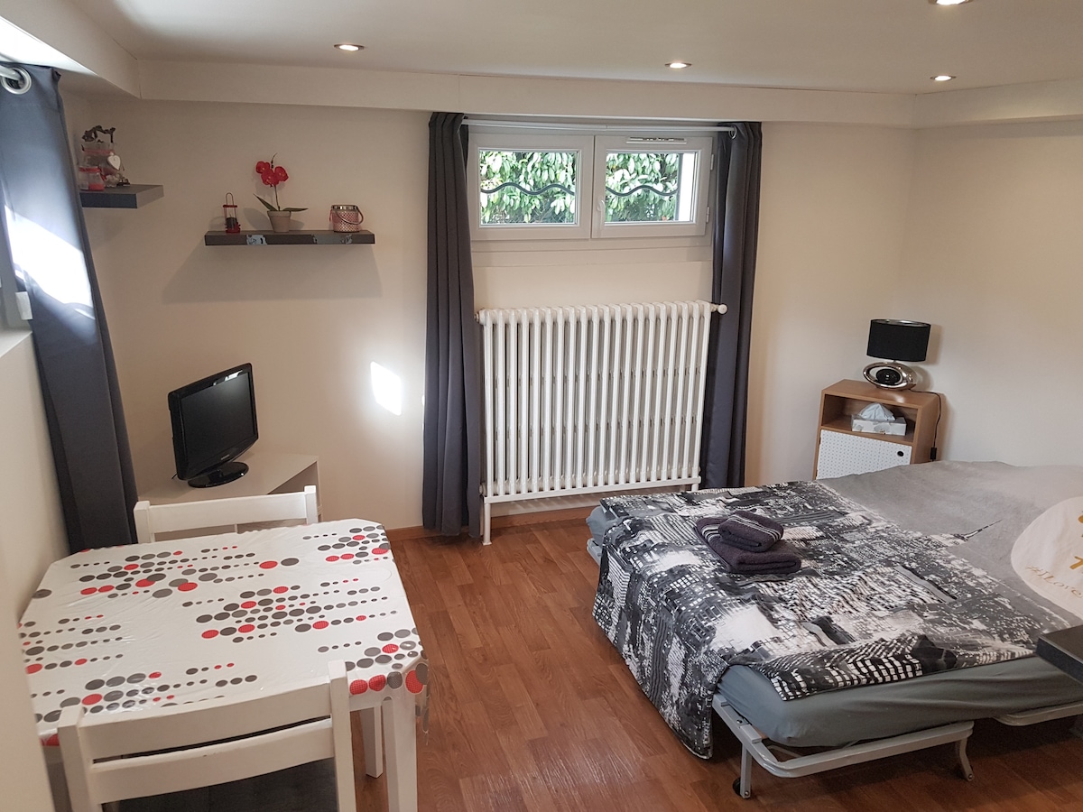 A bright studio space features a spacious bed draped in a patterned blanket, complemented by a small dining table set with a decorative tablecloth. A television is positioned near a window framed by dark curtains. Natural light streams through the window, highlighting the warm wooden flooring.