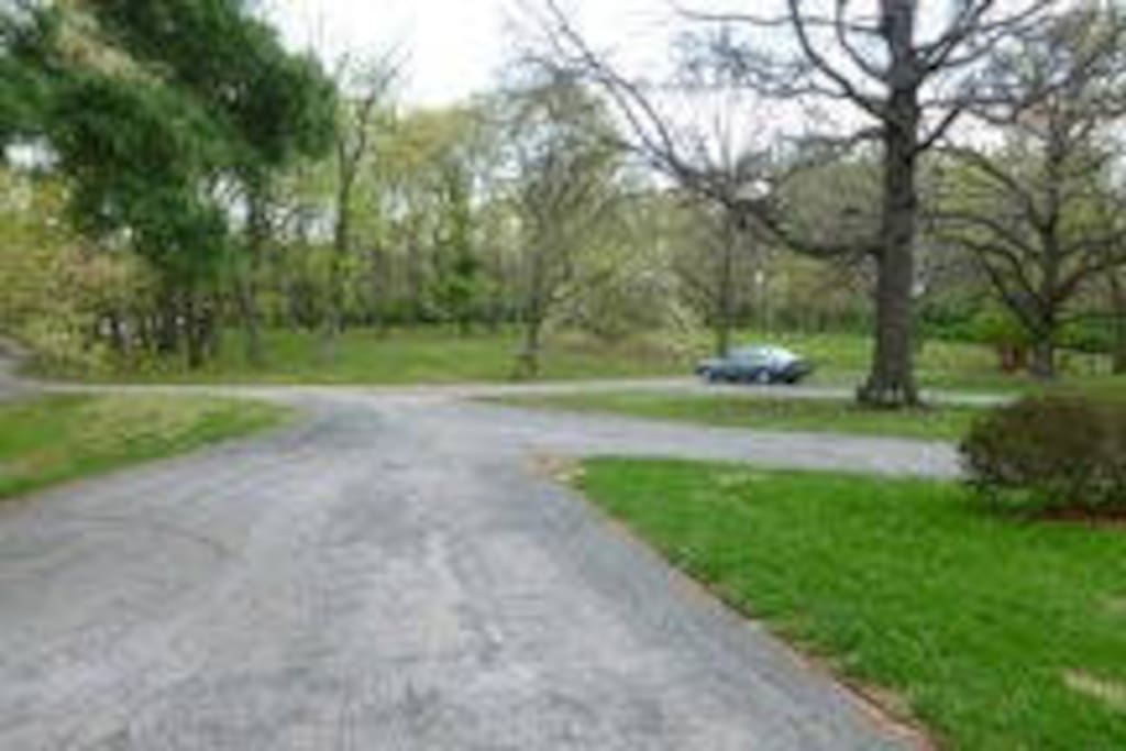 Front Park Area