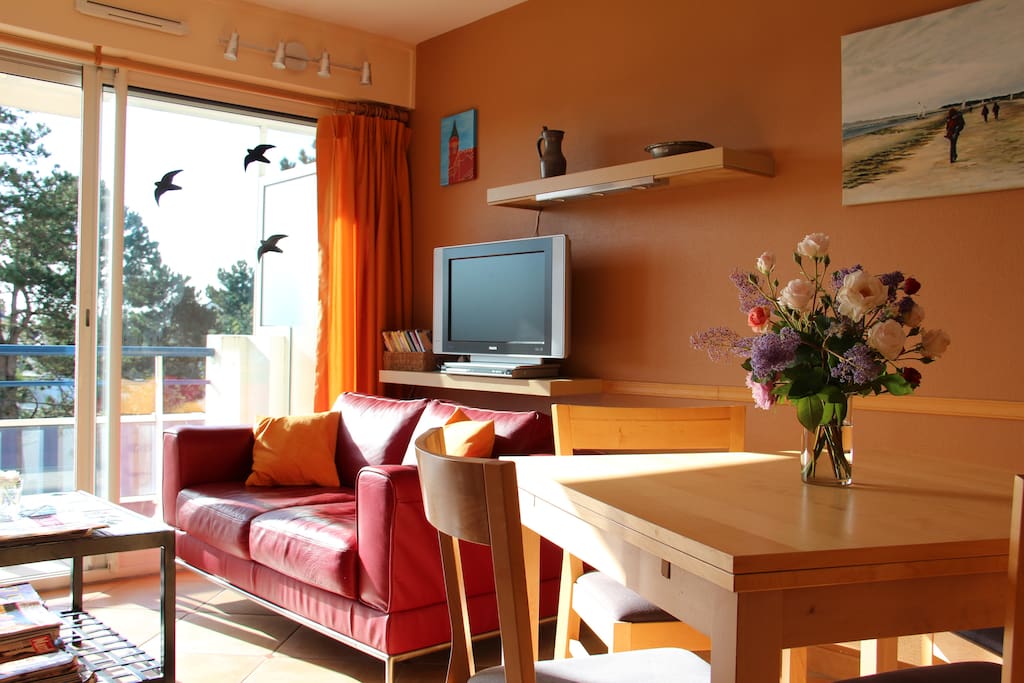 Living avec 2 canapés cuir de 2 places