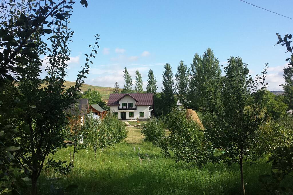 View from Orchard