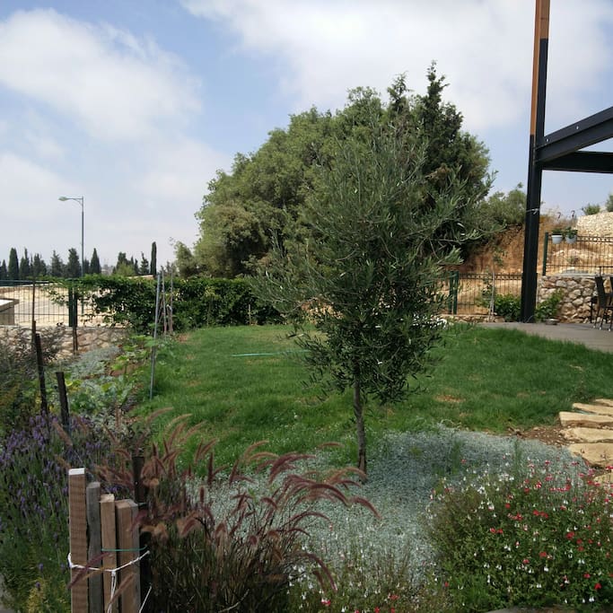 Front garden