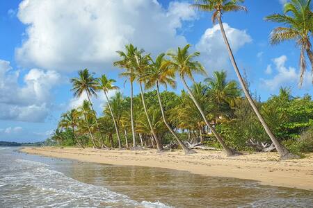 Get 2 zimmer wohnungen pacific beach For Android Free 2 Zimmer Wohnungen Pacific Beach