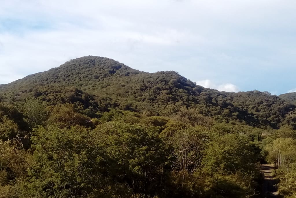 Vista Panorámica
