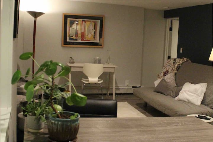 Cozy 1-bedroom Apartment With Private Entrance - Minneapolis, MN