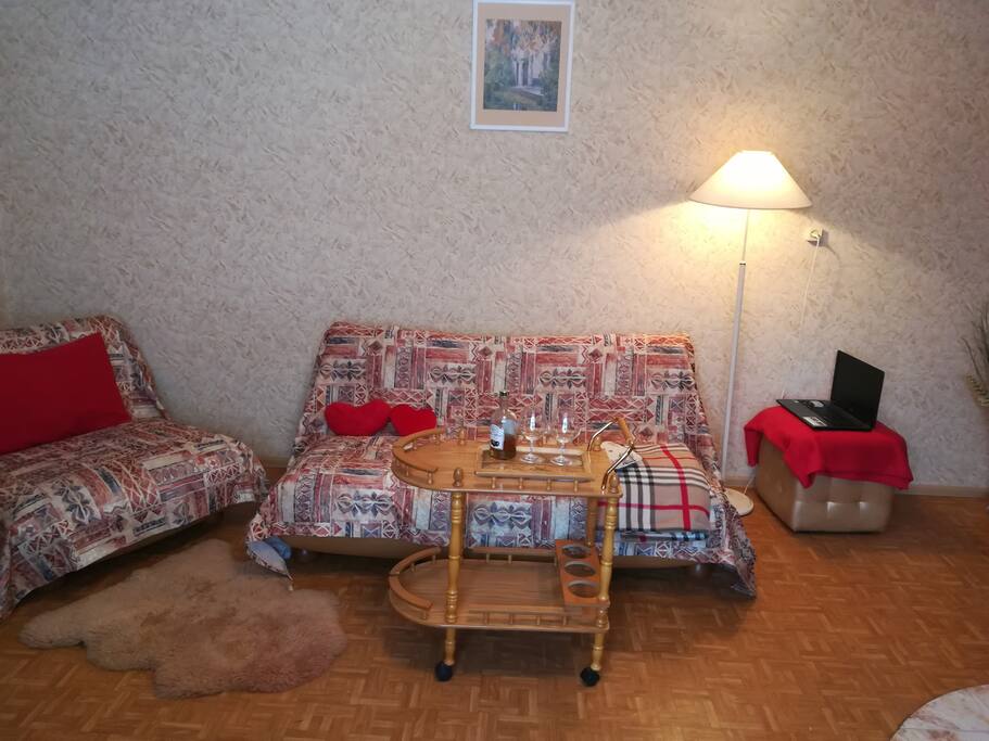 Гостиная скамином
