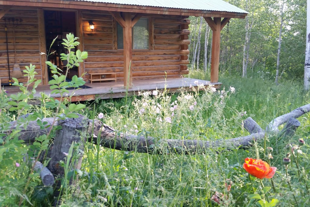 This cabin is surrounded by abundant wild flowers