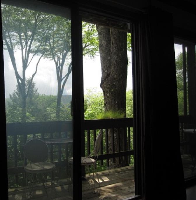 View from bed. Watch the sunrise from bed then pull the drapes and go back to sleep. :)