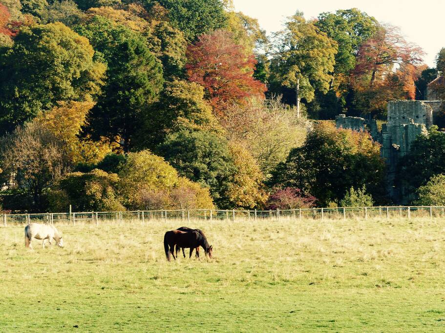 Autumn at the Ranch House