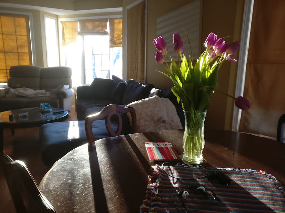 Main Living Dining Room