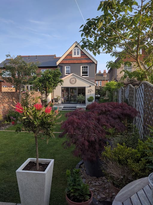 The Back Garden