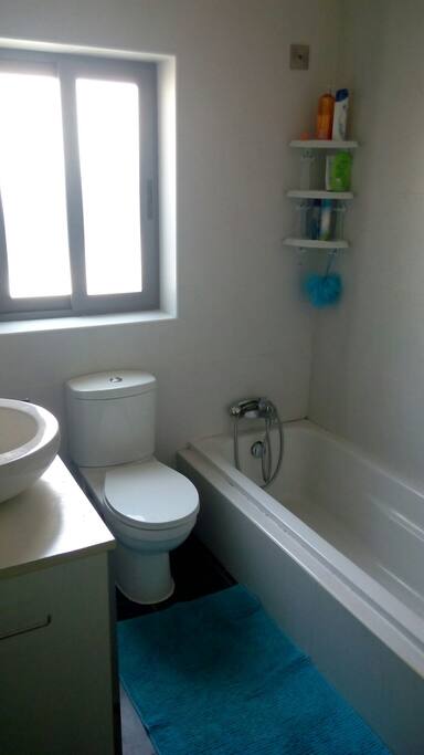 The bathroom