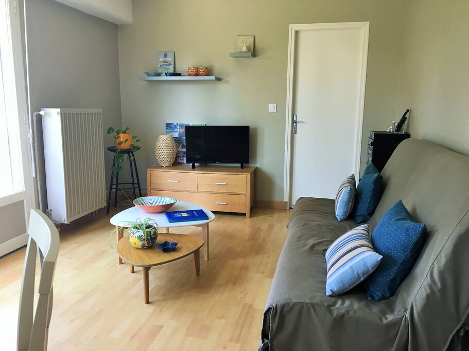 Le salon avec le canapé convertible.