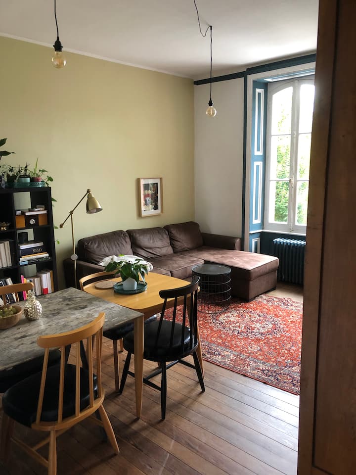 Bel Appartement Dans Villa Eva Besançon - Besançon