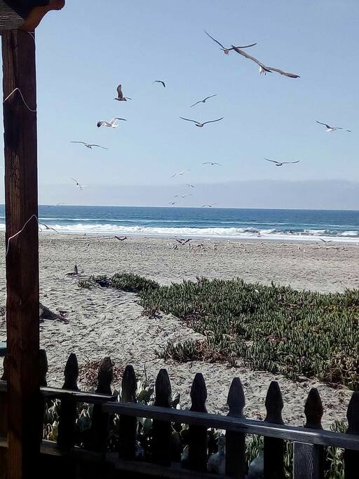 Beach front