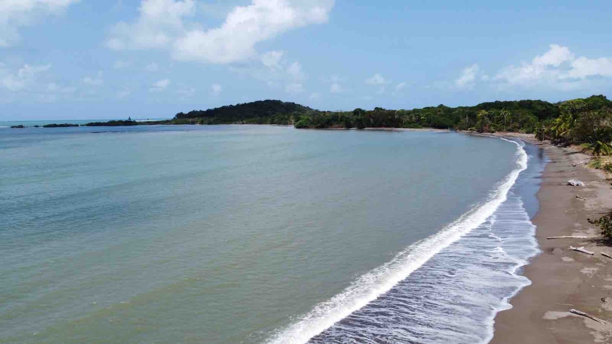 A serene coastline is displayed, featuring smooth sand meeting gentle waves. Lush greenery lines the shore, while distant hills rise in the background under a clear blue sky with scattered clouds.