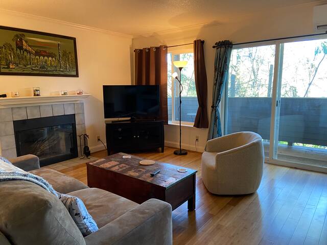 Contemporary 2 bed/2 bath Condo