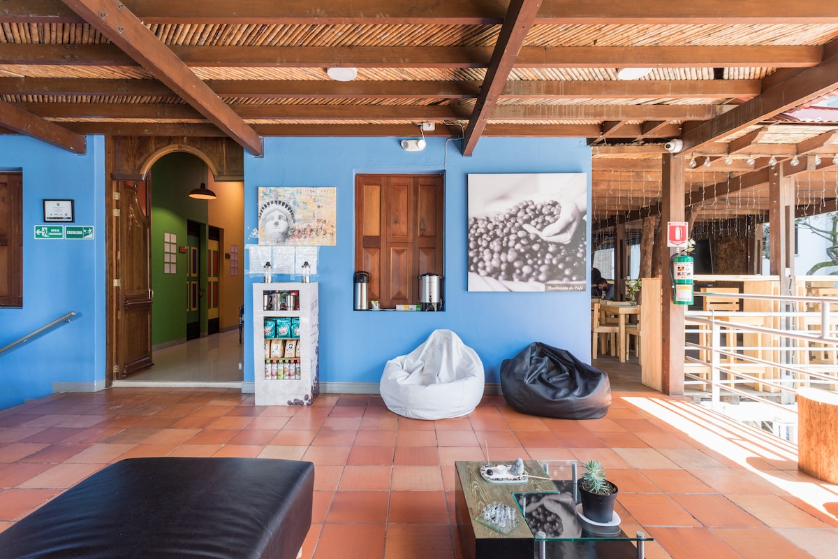 A spacious common area features natural wooden beams and blue walls. Two comfortable bean bags are positioned near a glass coffee table adorned with a small plant. A beverage station is visible against the wall, alongside colorful artwork and a welcoming entrance.