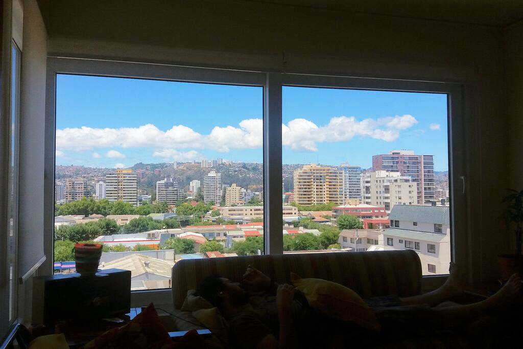 Vista living-comedor al Sur