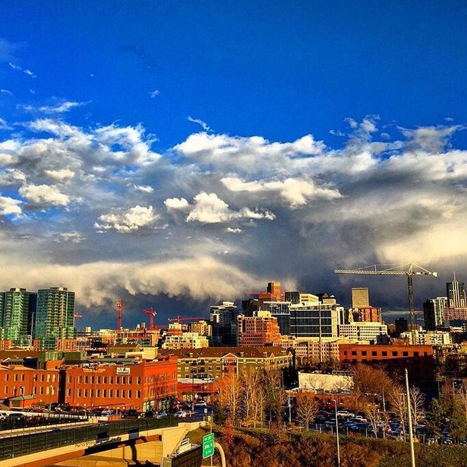 Daytime view from my patio