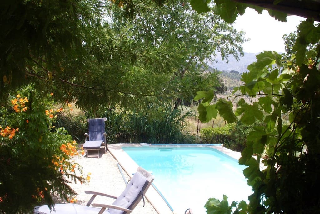 view of the pool from the patio