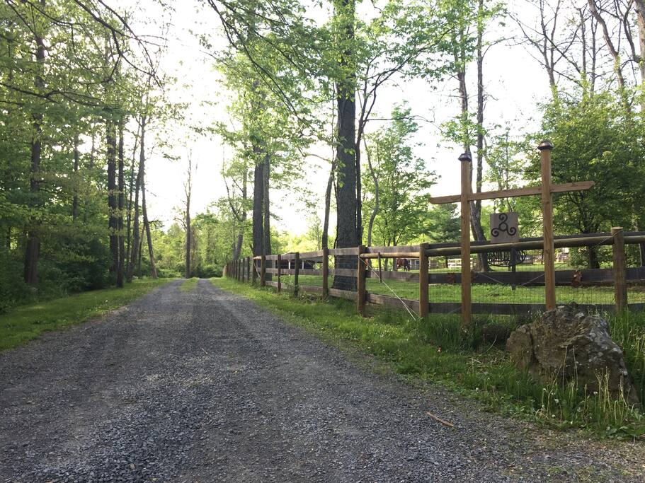 View as you enter Nestled Inn from Raven Rocks Rd, second driveway on the left