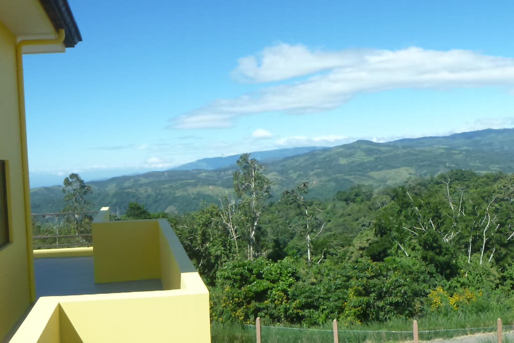 View from the roof terrace