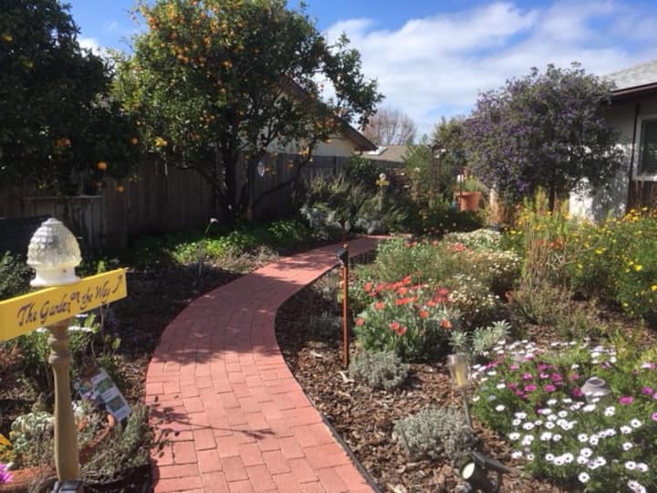 Pismo Beach House Rentals Homes and More Airbnb