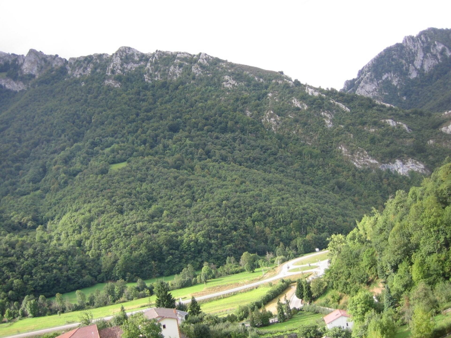 The Viewpoint of Redes, Campo de Caso