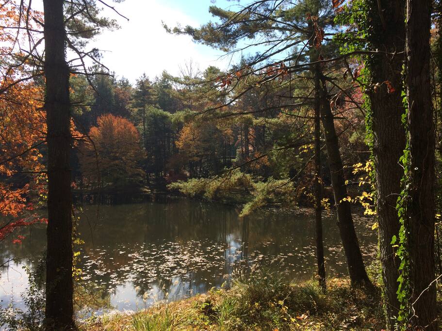 Lake Coma