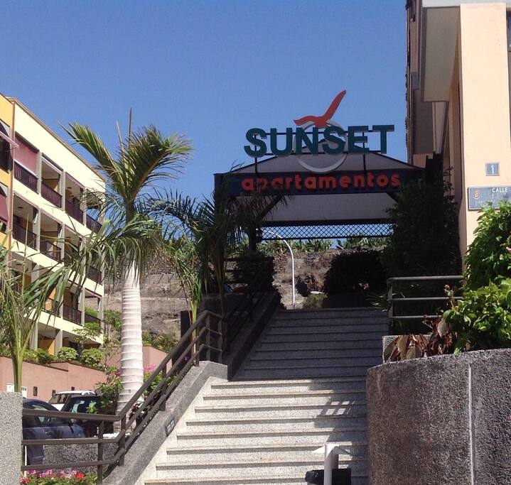 ingresso