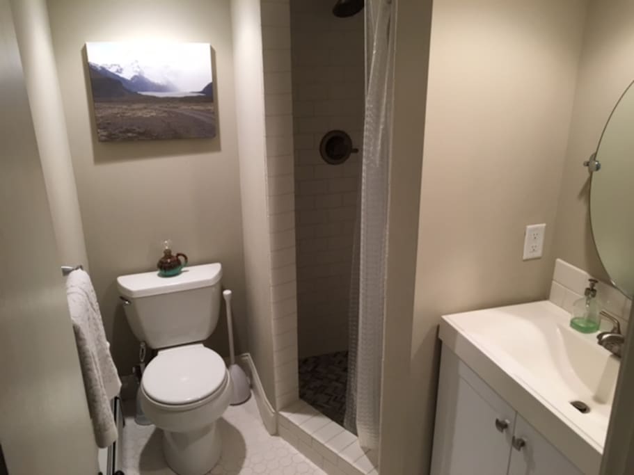 Downstairs bathroom with shower