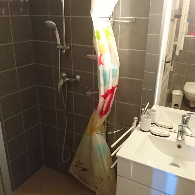La douche et le lavabo, on aperçoit les toilettes dans le miroir