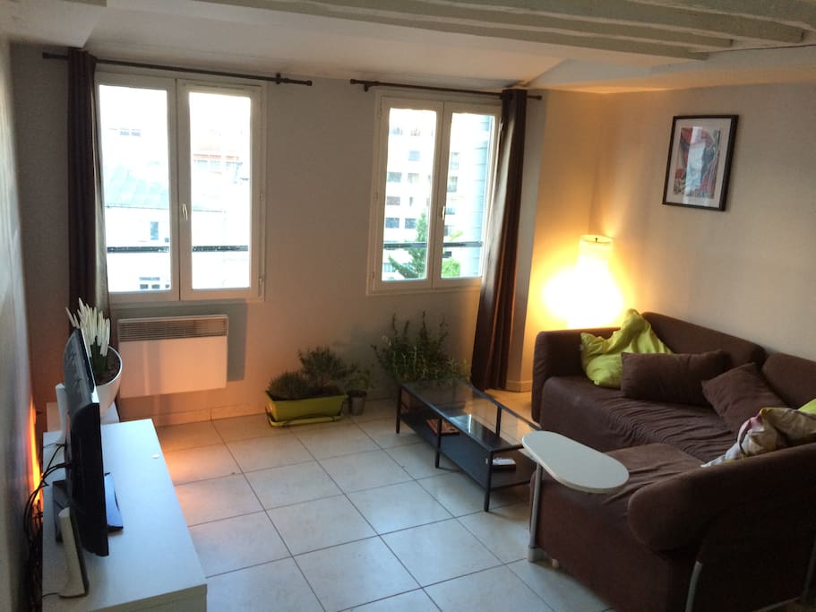 Salon / Living room
