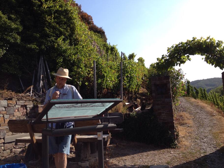 Traumhafte Wanderwege, leckere Weine und gutes Essen!
