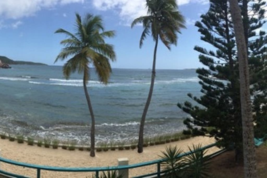 Walk the beach in front of the Condo.