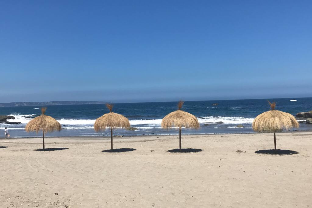 Playa Chungungo