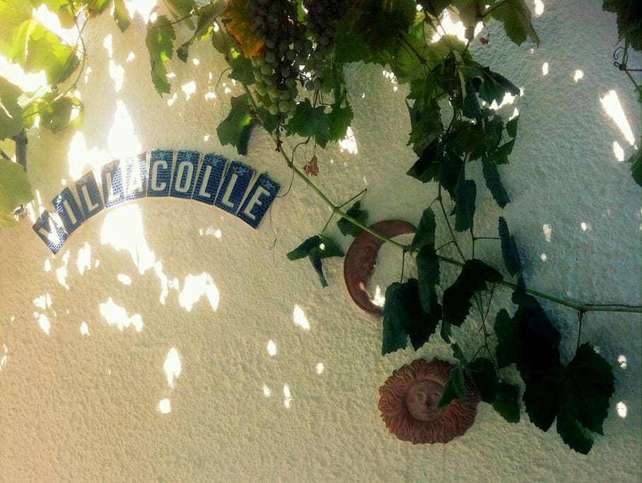Welcome to Villacolle!