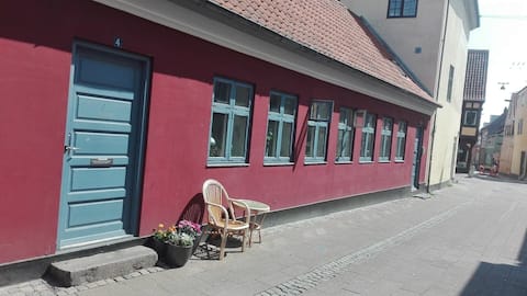 Full town house in the center of Helsingør